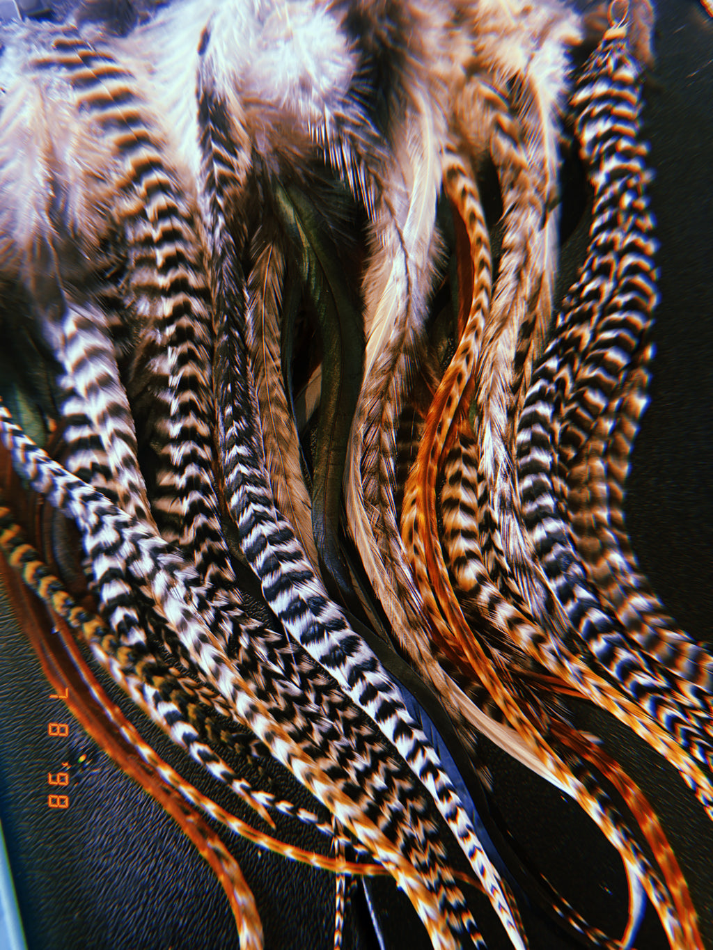 ✨ Made For You Feather Fairy Earrings