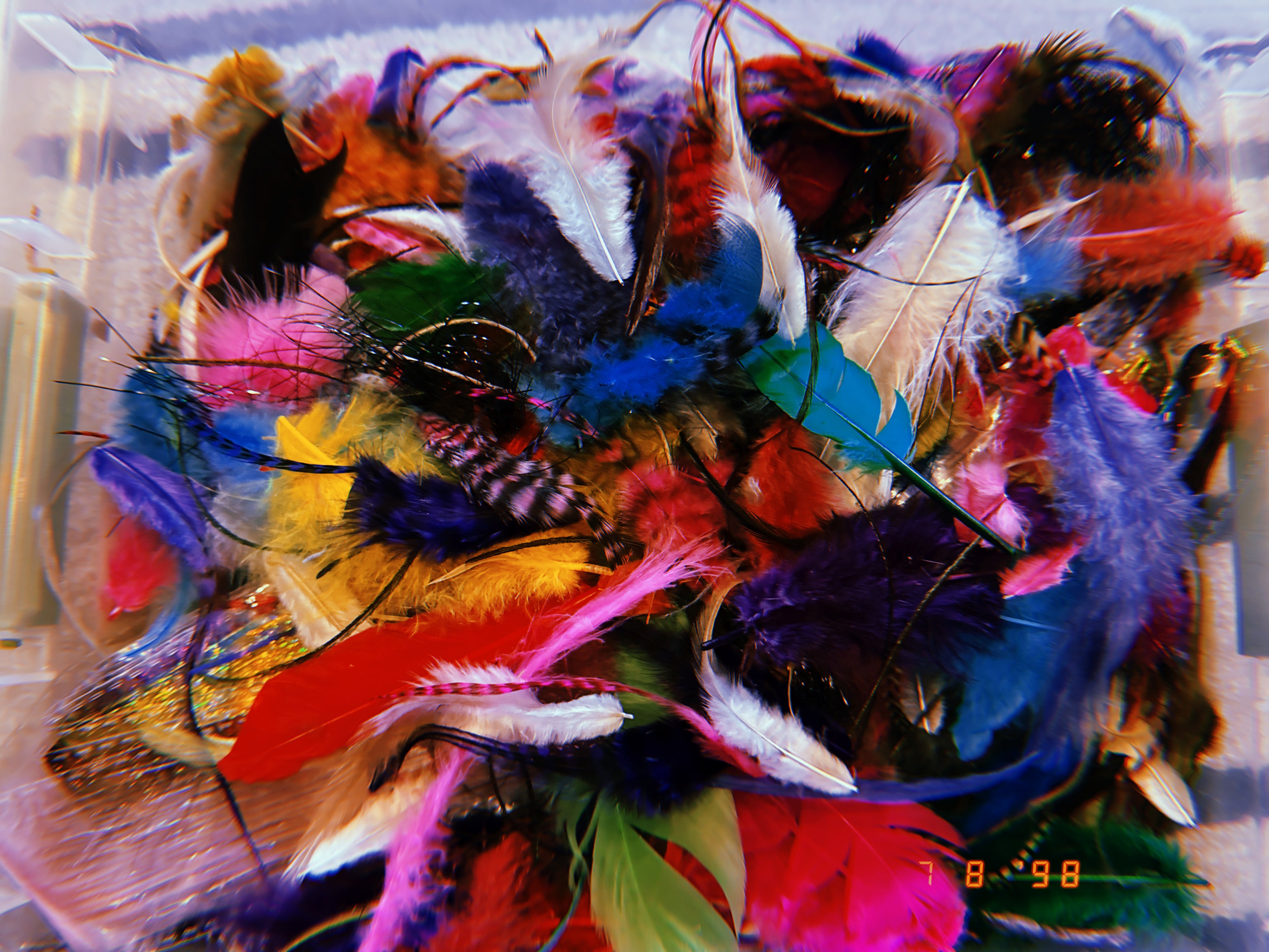✨ Made for You Feather Fairy Clip