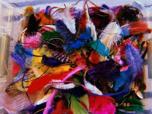 ✨ Made for You Feather Fairy Clip
